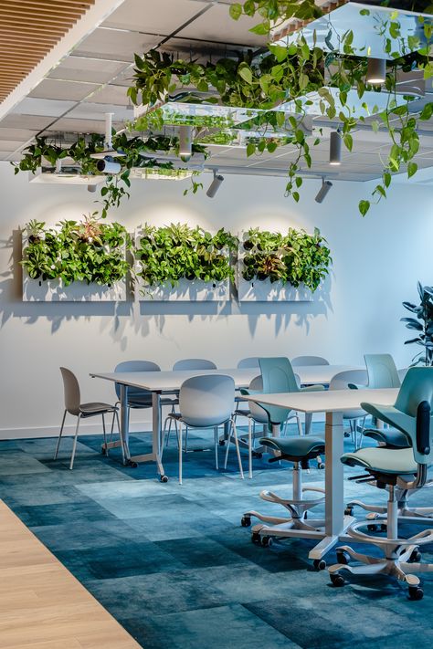 we are workplace – Ørsted Sustainable Office I Warsaw Japandi Corporate Office, Sustainable Office Design, Architecture Technology, Sustainable Office, Office Vibes, Research Design, Natural Wood Flooring, Human Centered Design, Energy Companies