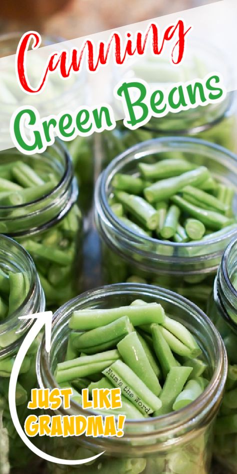 Pickled Green Bean Recipes, Pressure Canning Green Beans, Canned Green Bean Recipes, Canning Green Beans, Canning Beans, Pickled Green Beans, Dilly Beans, Pressure Canning Recipes, Canning Pickles