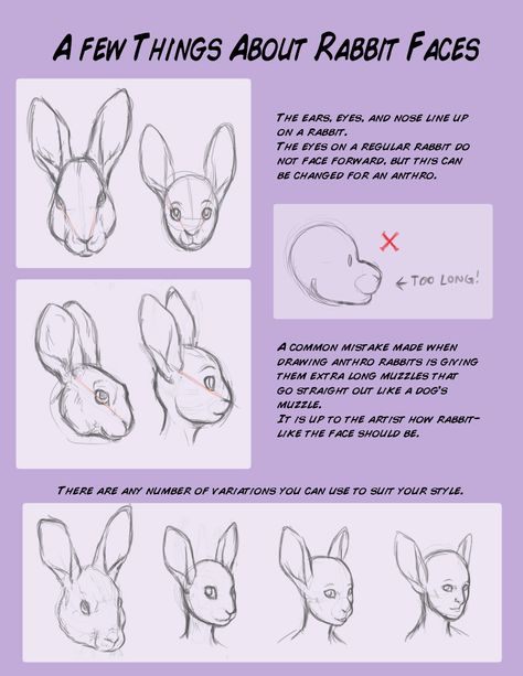 Rabbit Reference Drawing, Rabbit Oc Drawing, Anthro Anatomy, Rabbit Oc, Rabbit Anatomy, Bunny Oc, Fur Affinity, Rabbit Drawing, Rabbit Head