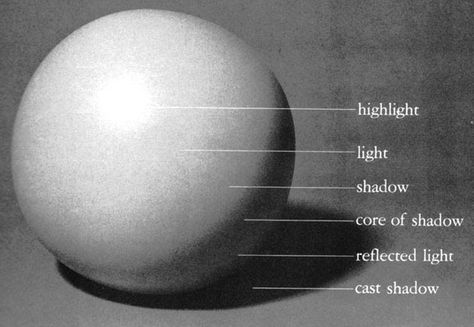 Learning  the rules that light and shadow obey, will help you  understand  what you are seeing and make it easier to draw!    Highlight : th... Blind Contour Drawing, Drawing Light And Shadow, Perspective 1 Point, Shadow Texture, Drawing From Life, Linear Perspective, Aerial Perspective, 1 Point Perspective, Drawing Light