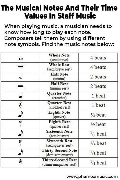 When playing music, a musician needs to know how long to play each note. Composers tell them by using different note symbols. Let’s take a look at some of the music note types we definitely need to know about when learning to read music. Types Of Notes Music, How To Read Music Notes, Music Terms Definitions, Piano Learning Tips, How To Read Sheet Music, Music Study Notes, How To Read Music For Beginners, How To Read Music, Music Notes For Beginners