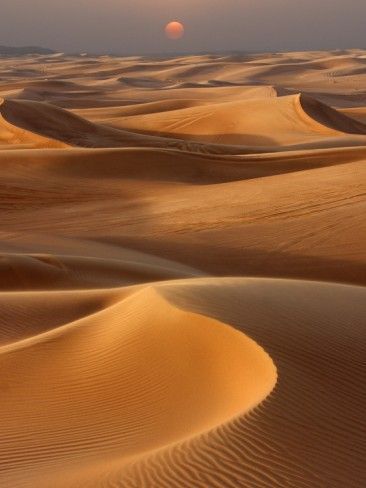 Sunset over the sand dunes in Dubai Timur Tengah, Khalifa Dubai, Deserts Of The World, Matka Natura, Alam Yang Indah, Desert Landscaping, Sand Dunes, استوديو الصور, Beautiful Sunset