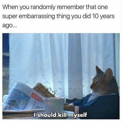 Randomly remembering embarrassing moments Humour, Classroom Memes, Hunger Games Humor, Hunger Games Trilogy, Internet Memes, Embarrassing Moments, It Goes On, Grumpy Cat, Life Humor