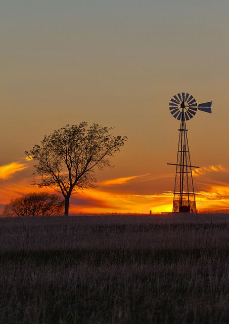 Texas Windmill; Taken in Burkburnett, Texas; Chandler Photography.  Pretty sure this is across the road from my house Ulsan, Old Barns, Photography Tutorials, Landscape Pics, Farm Windmill, Windmill Water, Vive Le Vent, Old Windmills, Texas Photography
