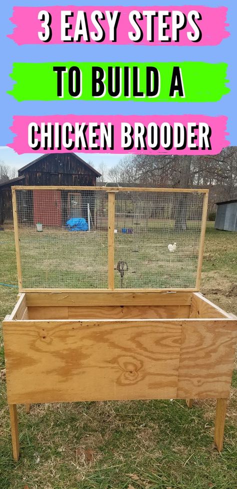 If you hatch and raise baby chicks, you know that they need a safe, dry, and warm place to grow before they are ready for the coop. This easy, 3 step DIY plan will show you how to build a safe brooder for them that can go indoors or outdoors. Check out this post for ideas to keep your DIY baby chicks safe today! #raisingchickens #homesteadanimals #homesteadingtips #backyardchickens #chickenbrooder Homemade Chicken Brooder, Quail Brooder Diy, Brooder Box Ideas Diy Baby Chicks, Chick Pen Ideas, Chicken Coop With Brooder, Indoor Chicken Brooder, Diy Chicken Brooder Homemade, Brooding Box Diy, Diy Chick Brooder Boxes