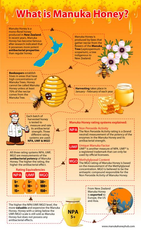 A concise infographic summarizing the key answers to the question "What is Manuka Honey? | Visual.ly Benefits Of Raw Honey, Freezing Lemons, Aesthetic Health, Tattoo Health, Tomato Nutrition, Quick Energy, Coconut Health Benefits, Natural Antibiotics, Benefits Of Coconut Oil