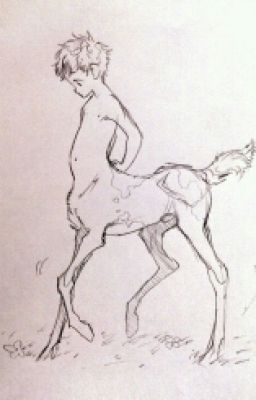 I just published "1" of my story "Book Tiltles". Baby Centaur, Creative Stuff, Mythical Creatures Art, Creature Concept Art, Story Book, Anatomy Art, Art Poses, Art Tutorials Drawing, Drawing Poses