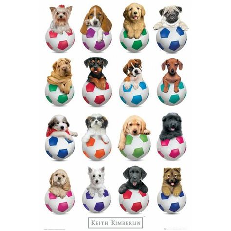 'Puppies Footballs' by Keith Kimberlin Graphic Art Print, Poster 1Art1 Keith Kimberlin, Sports Soccer, Dog Poster, Buy Wall Art, Online Wall Art, Trends International, Art Print Poster, Posters Prints, Print Poster