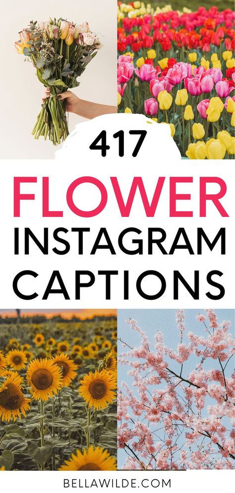 Nature, Caption For Flower Bouquet, Wildflower Instagram Captions, Caption For Garden Pictures, Flower Garden Captions For Instagram, Botanical Garden Captions, Floral Instagram Captions, Flower Field Instagram Captions, Farmers Market Captions Instagram