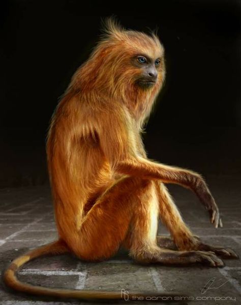 ArtStation - Monkey Concept Art, Aaron Sims Creative Monkey Concept Art, Golden Compass Art, The Book Of Dust, Jackson Overland, Miraculous Ladybug Toys, Golden Monkey, Compass Art, Golden Compass, Ya Fantasy Books