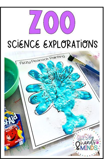 Zoo Science Explorations for Preschool Zoo Animal Science Experiment, Zoo Theme Snacks For Preschool, Animal Prek Activities, Jungle Activities For Preschool Crafts, Zoo Animal Science Preschool, Zoo Week Preschool Activities, Zoo Stem Activities, Zoo Science Activities Preschool, Zoo Sensory Bin Preschool