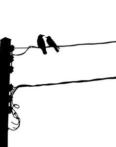 lineman bird art - Google Search Flying Bird Drawing, Lineman Love, Journeyman Lineman, Ireland Tattoo, Sketching Inspiration, Power Lineman, Birds On A Wire, Life Line, Tree Stencil