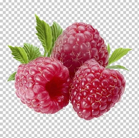 Raspberry Images, Fruit Png, Fruit Nutrition, Red Raspberry Leaf, Photoshop Tuts, Fruit List, Doodle Quotes, Photo Elements, Font Design Logo
