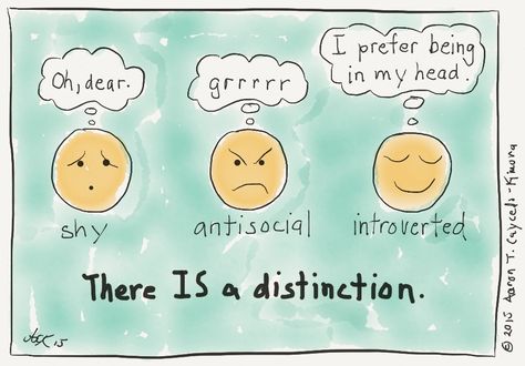 Shy, Antisocial, Introverted | INFJoe Introvert Problems, Shy People, Introverts Unite, Intj Personality, Highly Sensitive People, Highly Sensitive Person, Hate People, Introverted, Intj
