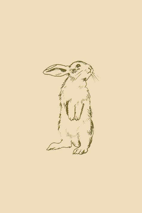 Bunny Drawings Aesthetic, Simple Rabbit Illustration, Rabbit Drawing Aesthetic, Small Rabbit Drawing, Rabbit Drawing Tattoo, Bunny Illustration Vintage, Coquette Bunny Drawing, Fluffy Bunny Tattoo, Vintage Rabbit Tattoo