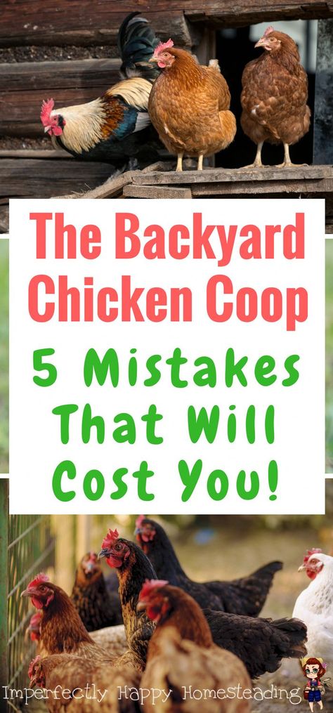 Permaculture, Chicken Coop Kit, Backyard Chicken Coop, Urban Chicken Farming, Oberirdische Pools, Chicken Barn, Portable Chicken Coop, Chicken Tractors, Backyard Chicken Farming