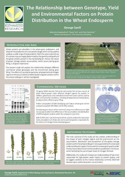 Creative Research Poster, Scientific Research Poster, Research Poster Design, Research Poster Template, Biotechnology Art, Powerpoint Poster Template, Scientific Poster Design, Academic Poster, Scientific Poster
