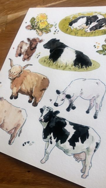 Watercolor Animals Cute, Watercolor Art Procreate, Cows Watercolor, Drawing Cows, Watercolor Cows, Safari Watercolor, Cow Watercolor, Watercolor Cow, Lamy Safari