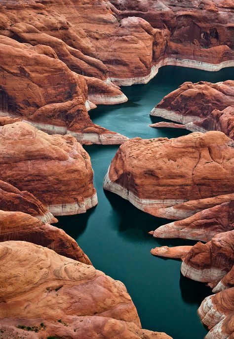 30 Majestic Canyon Photographs « Stockvault.net Blog – Design and ... Amazing Nature, Lake Powell Arizona, Lake Powell, Colorado River, Zion National Park, Pretty Places, Travel Bucket, Tucson, Natural Wonders