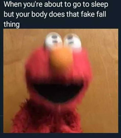 33 Funniest Memes, Pics, Laughs and Snorts ~ Elmo going to sleep body fake fall Funny Meme Pictures Lol, Funny Memes. Laughing, Funny Stuff To Make Me Laugh, Meams Funny, Relatable Memes Funny, Weird Funny Pictures, Relatable Pictures, Meme Spongebob, Random Humor