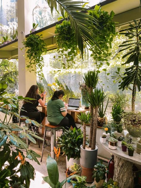 Secret Garden Cafe Ideas, Small Garden Cafe Ideas, Plant Wall Cafe, Plant Cafe Design, Plant Cafe Interiors Coffee Shop, Plants And Coffee Shop, Instagram Worthy Cafe, Botanical Cafe Interior, Eco Cafe Design