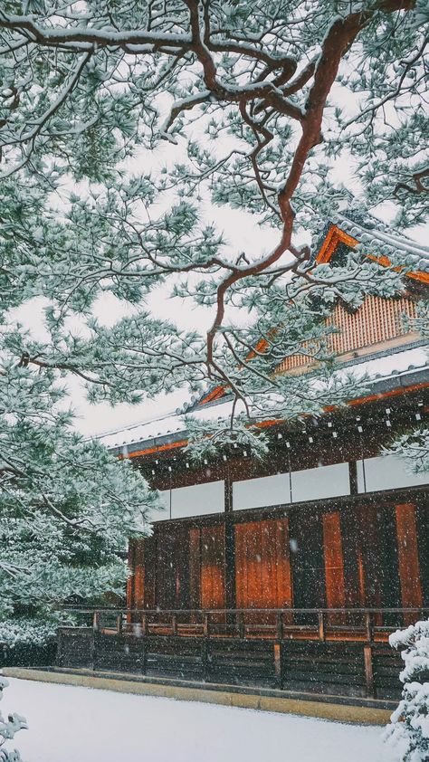 Snowing in Japan - Tap to see more #beautiful #snow & #snowflakes #winter wallpaper - @mobile9 Iphone Wallpaper Japan, Snowing Aesthetic Wallpaper, Snow In Japan, Winter Iphone Wallpaper, Winter Wallpaper Hd, Winter Japan, Japan Winter, Asian Wallpaper, Winter Iphone