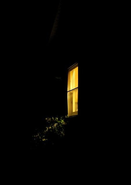 Window at night | This is the outside of my kitchen window a… | Flickr Window At Night, Night Window, Window Photography, Window Reveal, Night Time Photography, Dark Windows, Kids Night, Window Light, Dark Photography