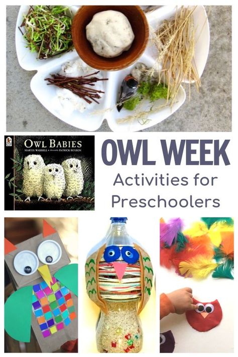 Fun week of owl themes activities for preschoolers featuring Owl Babies by Martin Waddell.  #owlbabies #preschoolactivities #owltheme #vbcforkids Montessori, Owls Kindergarten, Owl Preschool, Owl Activities, Book Owl, Book Club For Kids, Owl Babies, Sensory Activities For Preschoolers, Owl Moon