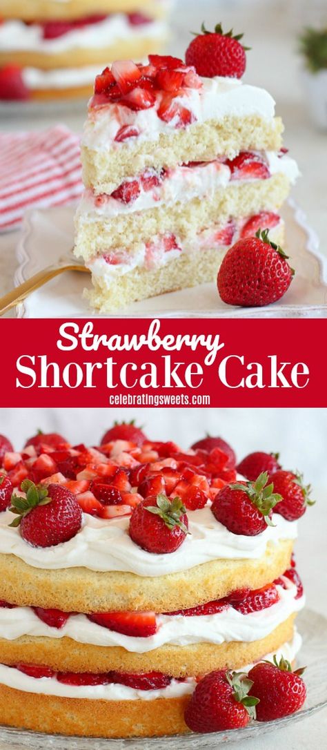 Strawberry Shortcake Layered Dessert, Strawberry Shortcake With Whipped Cream, Sponge Cake Dessert Cups, Vanilla With Strawberry Cake, Strawberry And Cream Cake Filling, Best Cake For Strawberry Shortcake, Sponge Cake With Strawberries And Cream, Starberry Shortcake Recipe, Recipes For Strawberry Shortcake