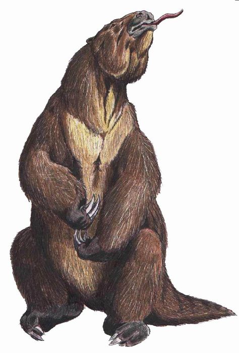 Megatherium - Dmitry Bogdanov Giant Sloth, Ground Sloth, Sloth Bear, Prehistoric Wildlife, Prehistoric World, Ancient Animals, Paleo Art, Extinct Animals, Prehistoric Creatures