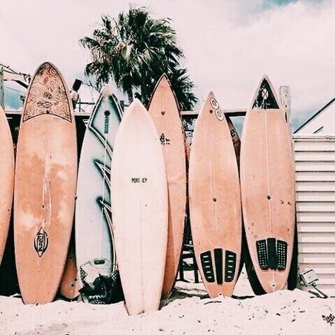 Alana Blanchard, Surf Table, Surf Vintage, Beach Wall Collage, L Wallpaper, Bedroom Wall Collage, Burton Snowboards, Beach Wallpaper, Lukisan Cat Air