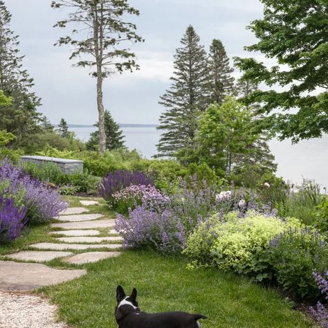 Marthas Vineyard Landscaping, Landscape Lake Design, Calgary Landscaping Ideas, Costal Front Yard Landscaping, Nantucket Landscaping Ideas, East Coast Landscaping Ideas, Lake House Garden Landscaping, Northeast Landscape Ideas, Lakehouse Backyard Landscaping