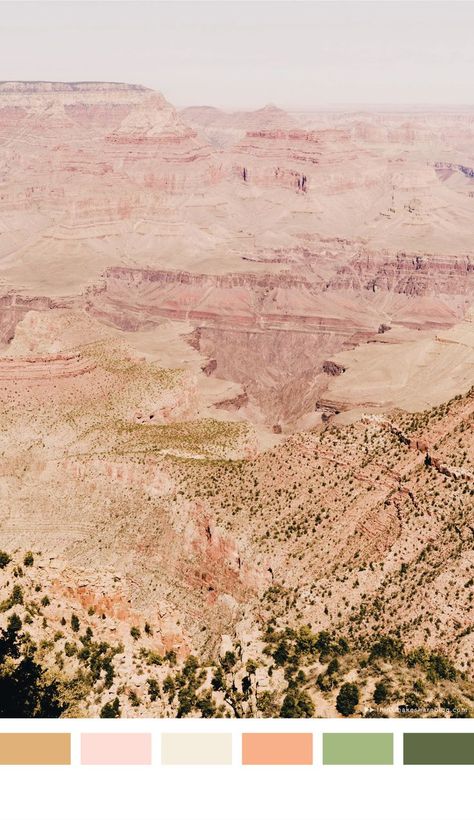 desert color palette Spring Desert Color Palette, Desert Pastel Color Palette, California Colour Palette, Southwest Colors Palette, Desert Pink Color Palette, Modern Desert Color Palette, Desert Color Scheme, Desert Palette, Desert Color Palette