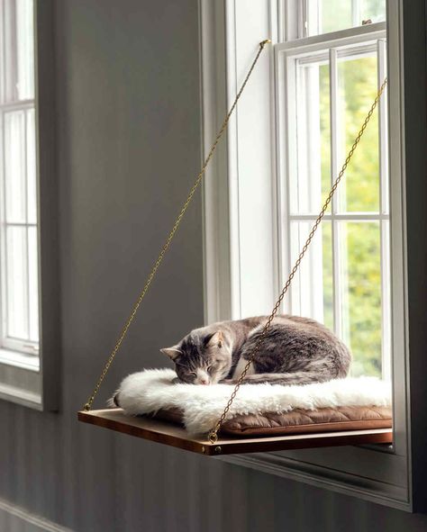 Katt Diy, Katt Grejer, Chat Diy, Kat Diy, Diy Cat Bed, Cat Window Perch, Window Perch, Cat House Diy, Window Ledge