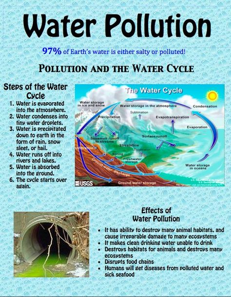 water pollution: Water Pollution Facts, Pollution Quotes, Water Pollution Poster, Effects Of Water Pollution, Pollution Activities, Air Pollution Poster, Water Unit, Ocean Trash, Water Facts