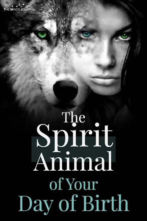 Spirit Animal Quiz, Whats Your Spirit Animal, Find Your Spirit Animal, Spirit Animal Meaning, Day Of Birth, Animal Meanings, Animal Quiz, Mind Heart, Animal Based