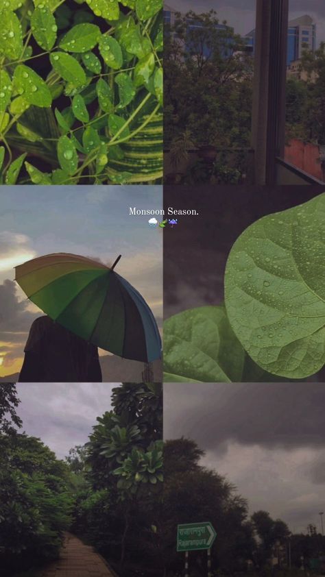 Feel the monsoon season🥂💫 Monsoon Captions For Instagram, Rain And Flowers Quotes, Monsoon Aesthetic Quotes, Instagram Random Story Ideas, Nature Layout Instagram, Monsoon Captions Instagram, Monsoon Outfits For Women, Monsoon Captions, Rain Aesthetic Captions