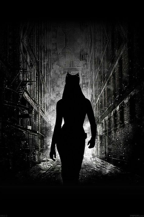 Catwoman Cat Superhero, Superhero Background, Superhero Images, Wallpaper Iphone Ios7, Batman Love, Catwoman Comic, Catwoman Cosplay, The Dark Knight Trilogy, Cat Women