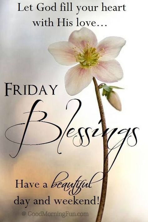 Friday Blessings, Let God fill your heart with His love Have A Great Friday And Weekend, Happy And Blessed Friday, Have A Blessed Friday, Blessed Weekend, Friday Morning Quotes, Friday Wishes, Friday Pictures, Friday Images, Good Morning Quotes For Him