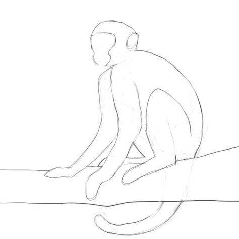 How to draw a monkey - Drawing Factory Draw A Monkey, Paint Monkey, Monkey Drawing, Monkey Tattoos, Not My Circus, Spider Monkey, Scribble Art, Collage Art Projects, Monkey Art