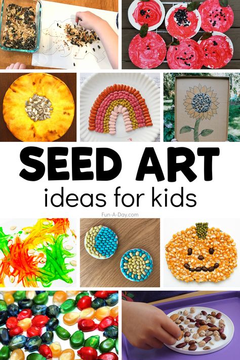 Nature, Seed Craft Preschool, Plants And Seeds Crafts For Toddlers, Seed Art Preschool, Seed Activities For Preschool, Seed Art For Kids, Pumpkin Seed Activities, Seed Activities For Kids, Seed Crafts For Kids