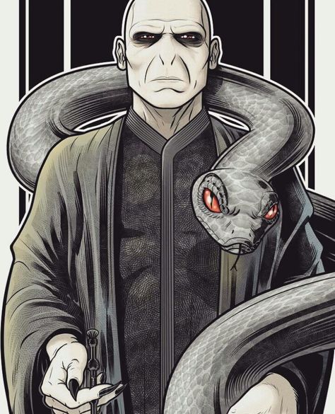 Voldemort and Nagini | Harry Potter Voldemort Drawing, Nagini Harry Potter, Michael Myers Art, Gellert Grindelwald, Harry Potter Magic, Harry Potter Draco Malfoy, Lord Voldemort, Wizarding World Of Harry Potter, Harry Potter Characters
