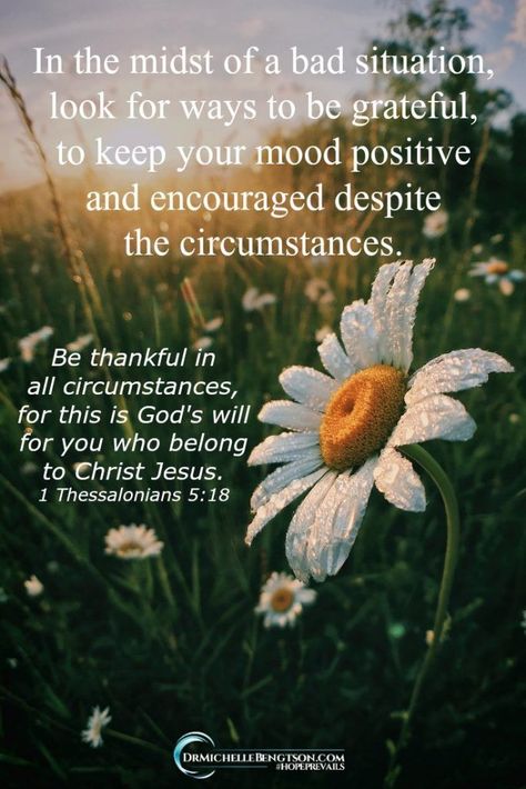 Are you facing a difficult situation? Look for ways to be grateful to keep your mood positive and encouraged despite the circumstances. #gratitude #thankful #faith #Christianity Religious Quotes, Gratitude Thankful, Scripture Images, Bible Text, Ayat Alkitab, Inspirational Scripture, Faith Prayer, Inspirational Prayers, Prayer Warrior