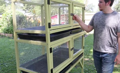 Diy Indoor Quail Cage, Quail Cage Diy, Quail Cages Diy How To Build, Indoor Quail Enclosure, Quail Nesting Box Ideas, Quail Hutch Diy, Button Quail Housing Indoor, Quail Aviary Ideas, Diy Quail Cage