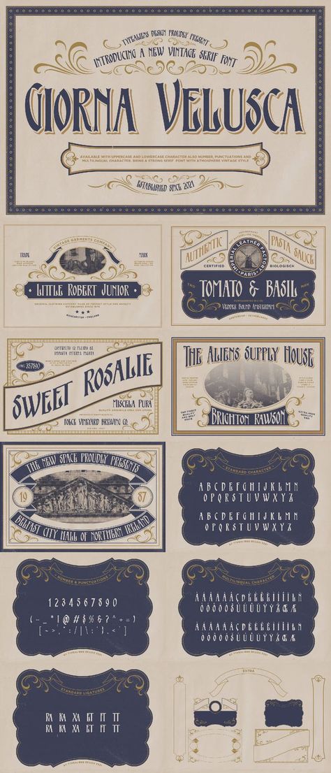 This comprehensive font bundle has everything you need for realistic vintage designs including layered display fonts, blackletter fonts, ornamental victorian fonts, art deco fonts and a selection of hand drawn products. You can also put the finishing touches on your new designs with the bonus ornaments, illustrations & templates. Art Nouveau Typography, Vintage Branding Design, Historical Fonts, Victorian Fonts, Fonts Art, Popular Free Fonts, Art Deco Fonts, Deco Font, Graphic Design Images