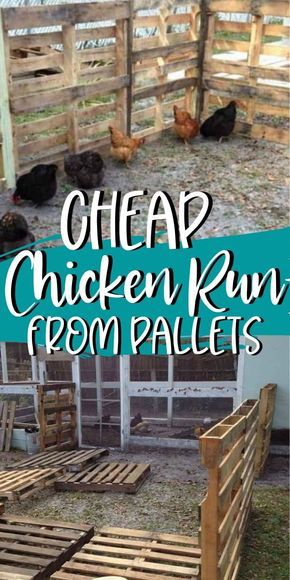 Chicken Pens Ideas Fence, Inexpensive Chicken Coop Diy, Coop Decorating Ideas, Chicken Runs Ideas Pens, Chicken Coop Decorating Ideas, Pallet Chicken Run, Diy Pallet Fence, Chicken Run Diy, Inexpensive Fence