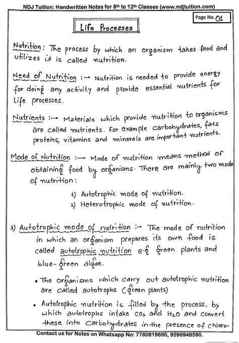 Life Processes Handwritten Notes for Class 10th Notes Class 10 Biology, Life Processes Notes Class 10, Class 10 Life Processes Mind Map, Life Process Notes Class 10, Class 10 Biology Notes Life Processes, Biology Notes Life Processes, Biology Life Process Notes, Class 10 Biology Notes Chapter 1, Grade 8 Science Notes 1st Quarter