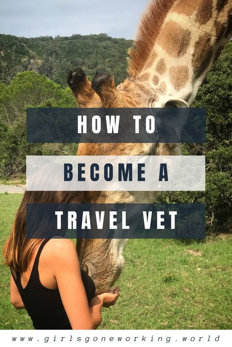 Combine your love for animals with your passion for travel as a travel vet nurse! Find jobs abroad to work with exotic animals around the world. Get tips to getting hired and the best websites to find jobs abroad. #girlsgoneworking #travelvet #jobsabroad Vet Surgeon Aesthetic, Vet Study Aesthetic, Working With Animals Aesthetic, Wildlife Vet Aesthetic, Exotic Veterinarian Aesthetic, Vet Student Aesthetic Notes, Travel Veterinarian, Vetmed Aesthetic, Wildlife Veterinarian Aesthetic