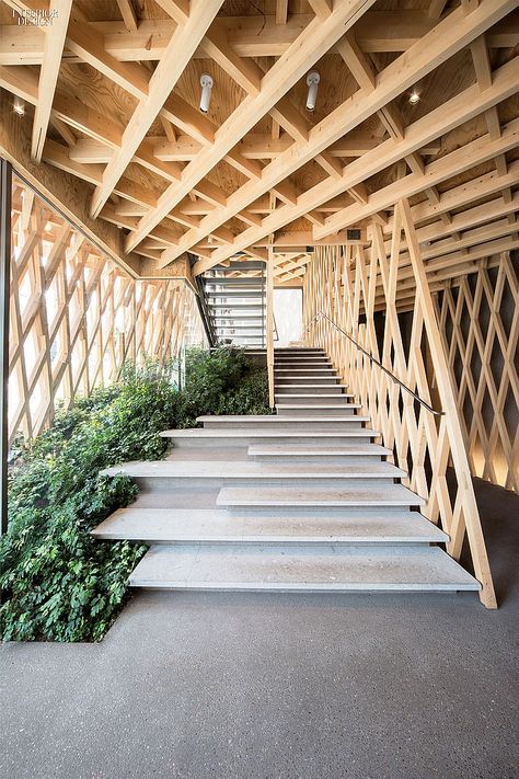 From A Simpler Time: SunnyHills by Kengo Kuma | Stairs up to the main shopping level combine basalt and cork. #design #interiordesign #interiordesignmagazine #architecture #staircase #wood Kengo Kuma, Green Stairs, Contemporary Stairs, Timber Architecture, Wood Green, Inspiration Nature, Wood Architecture, Japan Photography, Timber Structure