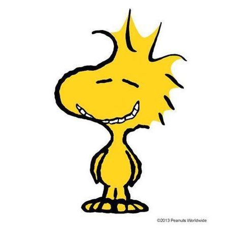 Snoopy's Pal Woodstock Is Actually A Bloodthirsty Cannibal Woodstock Charlie Brown, Gustaf Skarsgard, Woodstock Snoopy, Woodstock Peanuts, Peanuts Movie, Snoopy Images, Peanuts Cartoon, Snoopy Wallpaper, Peanuts Characters